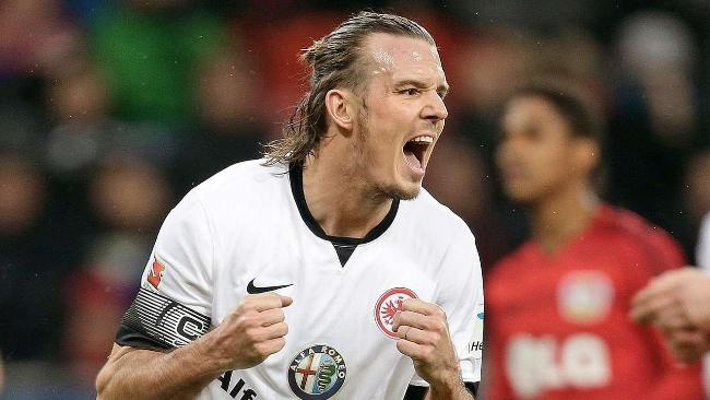 仅展现了教 仅展现了教