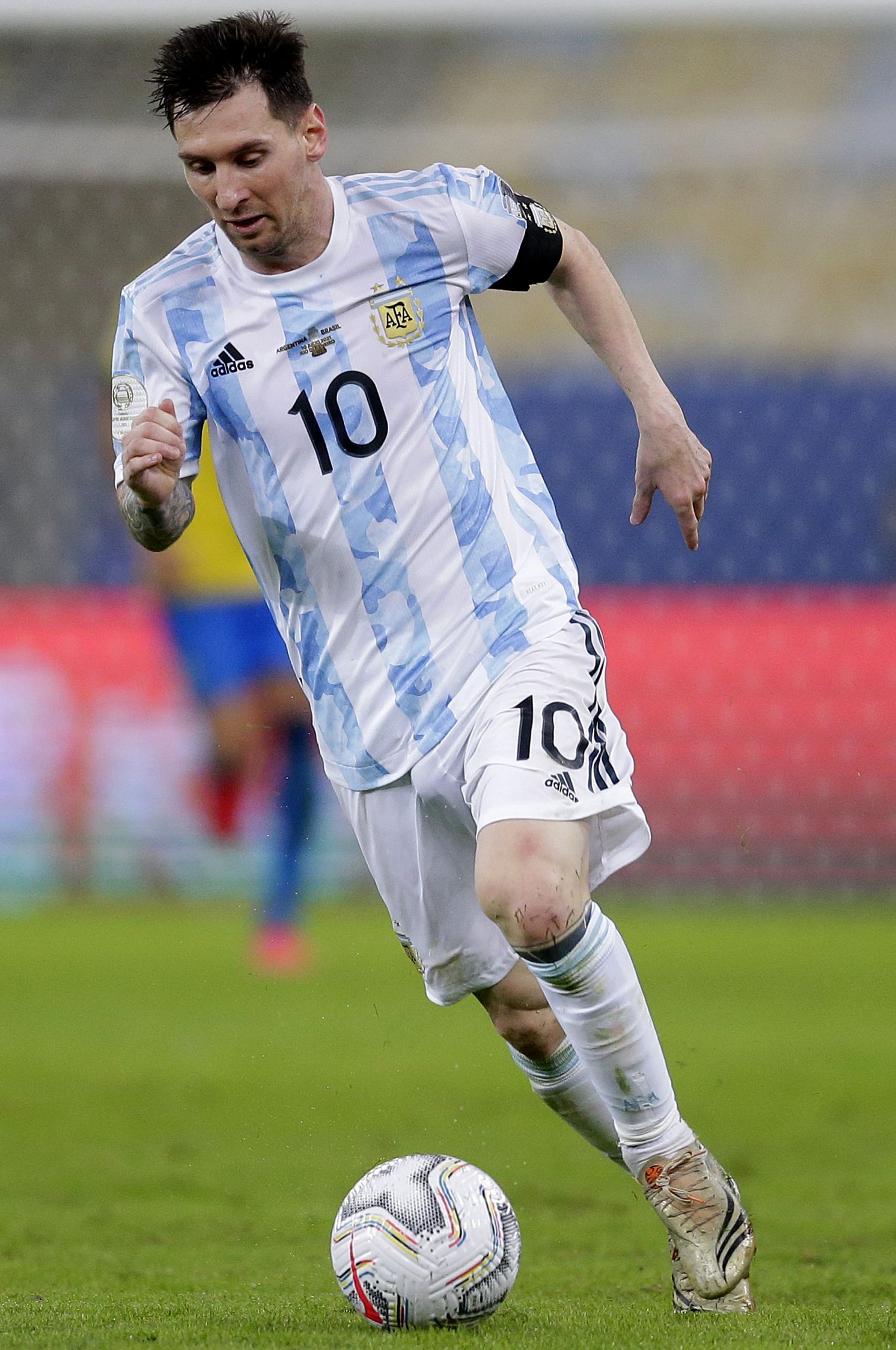 费逐渐成为 费逐渐成为