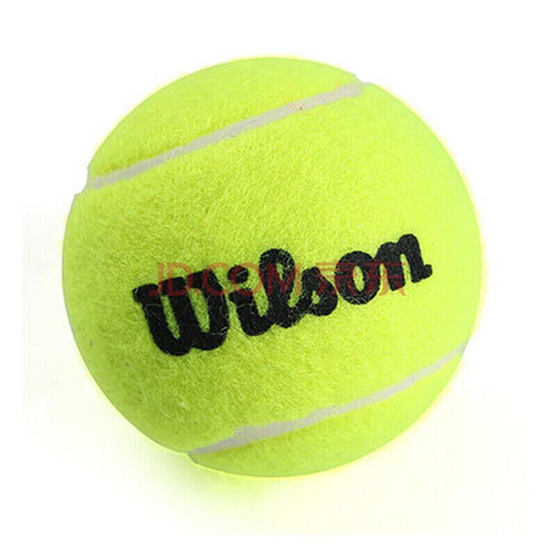 健的传导球 健的传导球